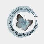 Lepiforum