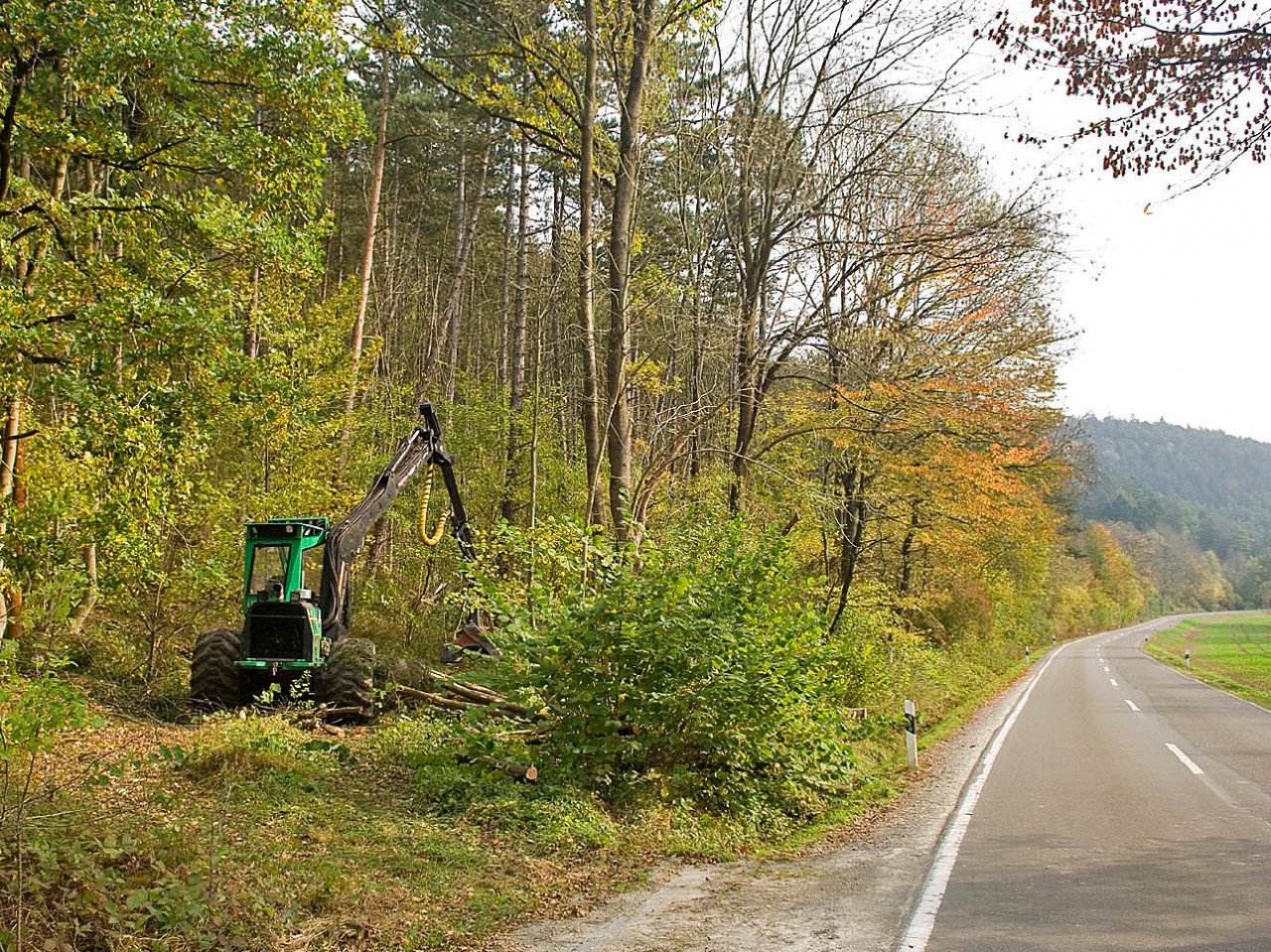 Kettensäge, Umwelt- und Artenschutz