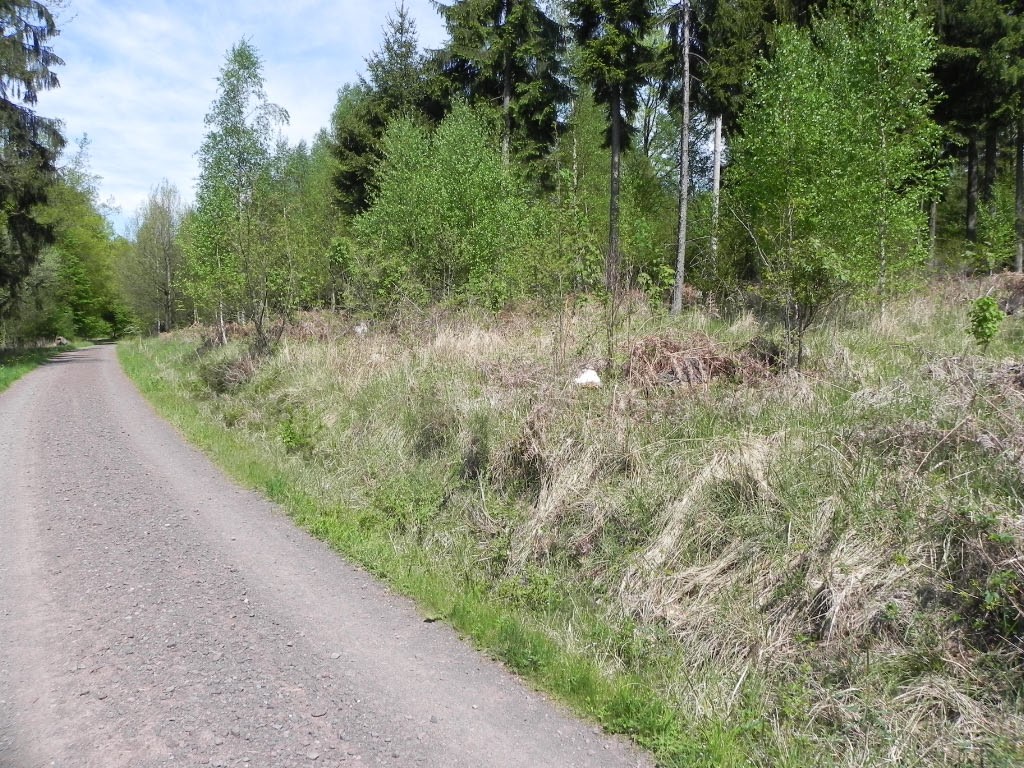 Diskussion: Lichtwaldarten als Teil der regionalen Biodiversitätsstrategie