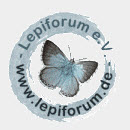 lepiforum 130 130